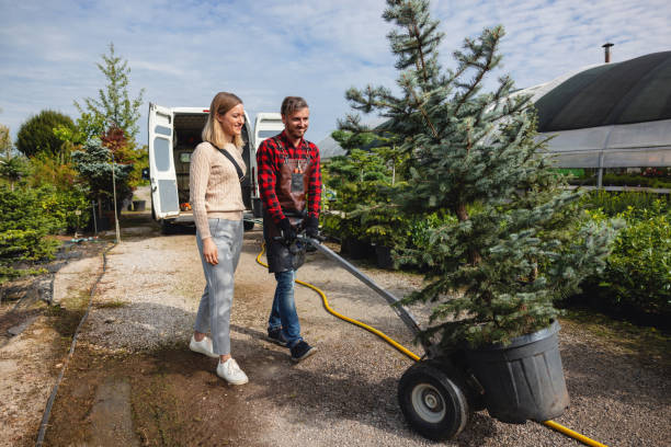 Tree and Shrub Care in Minturn, CO